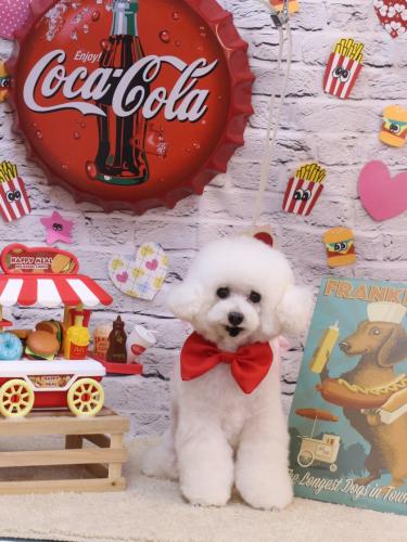 20230914チュッチュくん